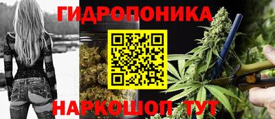 mix Кингисепп